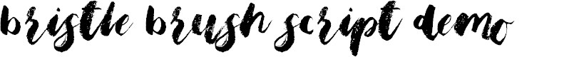 Preview image for Bristle Brush Script Demo
