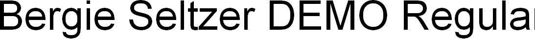 Preview image for Bergie Seltzer DEMO Regular
