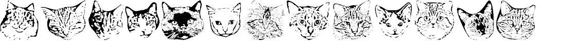 Preview image for KittyPrint AOE