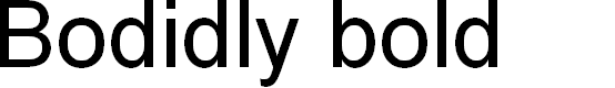 Preview image for BODIDLYbold