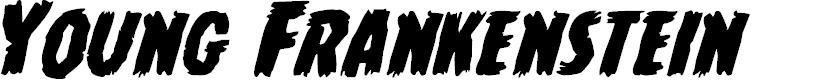 Preview image for Young Frankenstein Expanded Italic