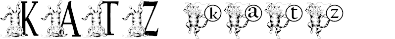 Preview image for KGKATZ2