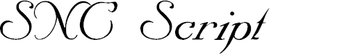Preview image for SNC Script Italic