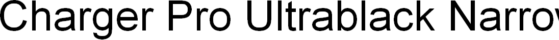 Preview image for Charger Pro Ultrablack Narrow Oblique