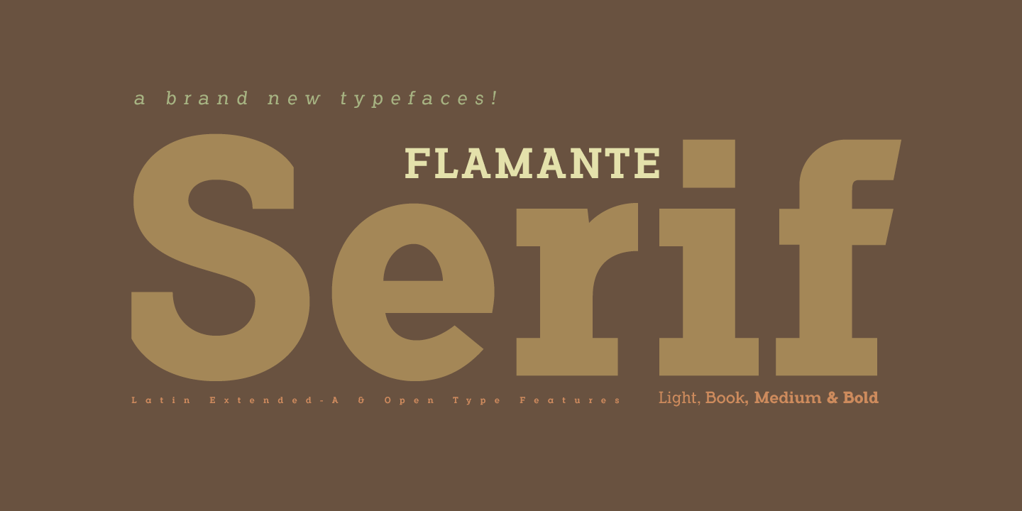 Flamante Serif Bold Font - FontSpace